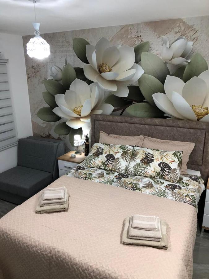 Studio Lotos 贝尔格莱德 外观 照片